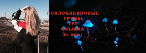 spice Каменногорск
