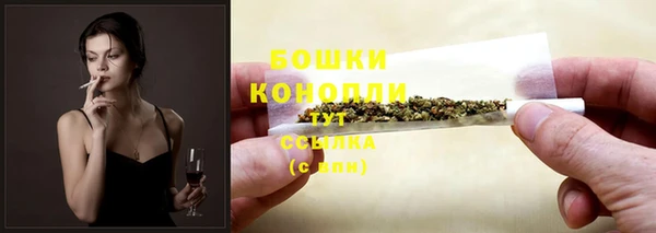 spice Каменногорск