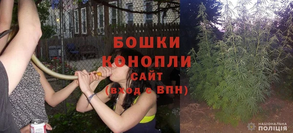 spice Каменногорск