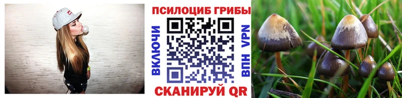 Галлюциногенные грибы Psilocybe  Мурманск 